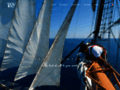 Team Yachting : agence évènementielle nautique