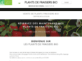 Détails : Plant de fraisiers bio