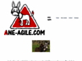 www.ane-agile.com/