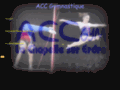 acc.gymnastique.free.fr/cariboost1/