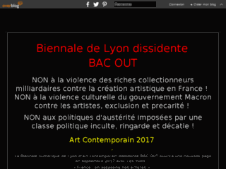 Image Biennale de Lyon art out