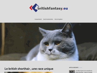 Blog sur le chat british shorthair