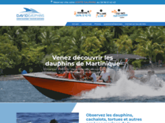 Détails : Dauphins et baleines en Martinique