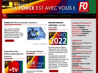 Capture du site http://fo-francetele.tv