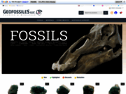 screenshot http://geofossiles.com magasin geofossiles fossiles minéraux gemmes