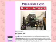 Détails : Pose de puce à Lyon