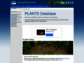 http://plants.usda.gov Thumb
