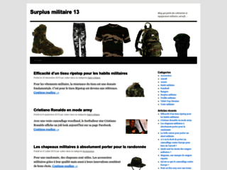 Capture du site http://surplusmilitaire13.com/