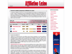 Détails : Affiliation casino