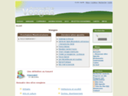screenshot http://www.annuaire-vosges.com annuaire vosges