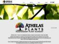 http://www.athelasplants.co.uk Thumb