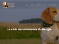 Détails : Beagle Club