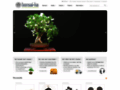 www.bonsai-ka.com/