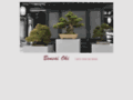 www.bonsai-oki.com/