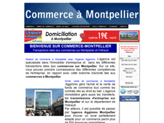Capture du site http://www.commerce-montpellier.com
