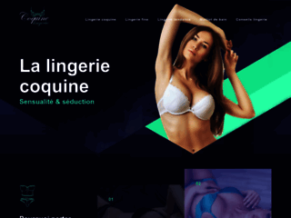 Capture du site http://www.coquine-lingerie.com