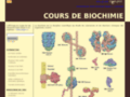 www.cours-de-biochimie.fr/