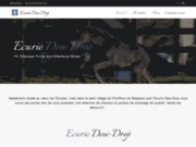 screenshot http://www.dew-drop.be/ dew-drop, spécialiste dans l'élevage de poney de sport.