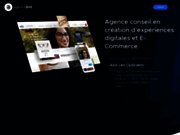 screenshot http://www.dnd.fr agence dn'd - création de site e-commerce magento