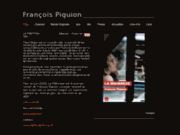 screenshot http://www.francoispiquion.com la mainmise, un polar de françois piquion