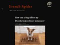 Détails : French Spider