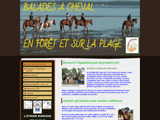 Capture du site http://www.letrier-roncois.com