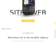 screenshot http://www.netic-agency.fr creation site internet marseille, montpellier