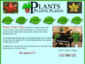 http://www.plantsplantsplants.com Thumb