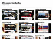 screenshot http://www.webmaster-montpellier.fr webmaster de montpellier
