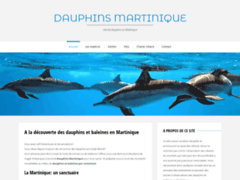 Observation des dauphins en Martinique
