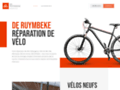 Détails : De Ruymbeke : réparateur de vélo à Beaugency
