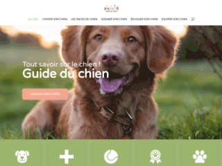 Guide du chien : conseils, astuces et informations utiles 