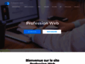 Détails : Informations sur les professionnels du web