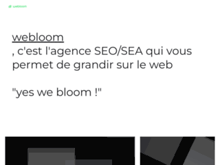 Détails : Yeswebloom - Let's bloom avec l'agence webloom (SEO/SEA)