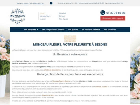 image du site http://monceau-fleurs-bezons.fr