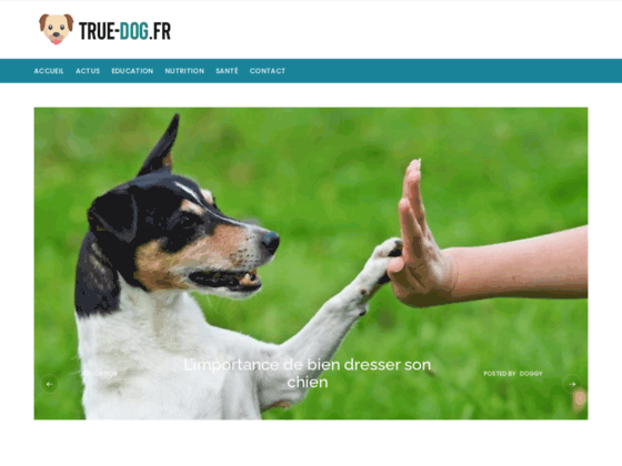 image du site http://true-dog.fr