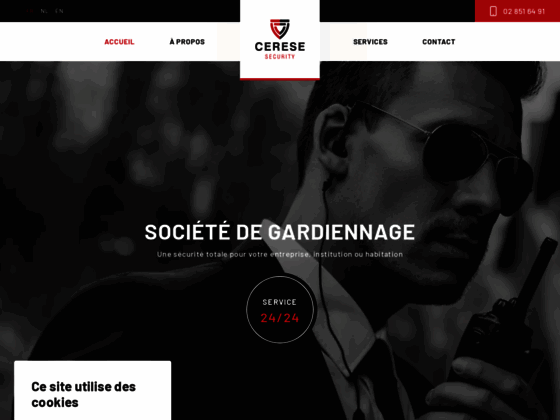 image du site http://www.cerese-security.be/