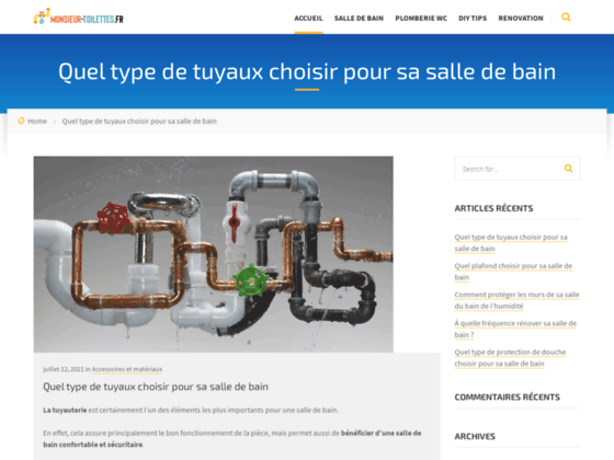 image du site http://www.monsieur-toilettes.fr