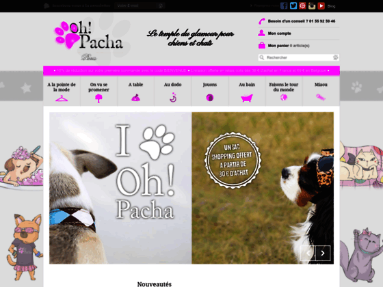 image du site http://www.ohpacha.com/17-collier-pour-chien-harnais-puppia-strass