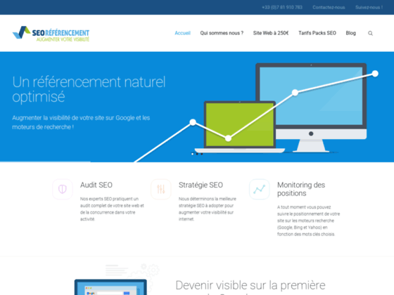 image du site http://www.seo-referencement-pro.fr