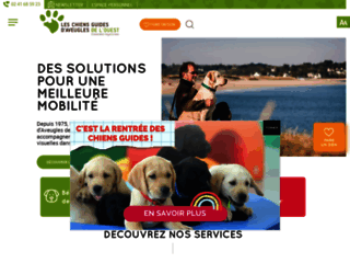 chiens-guides-d-aveugles