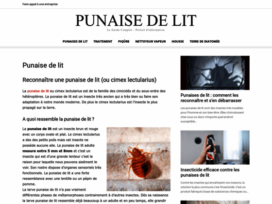 image du site https://www.punaise-de-lit.org/