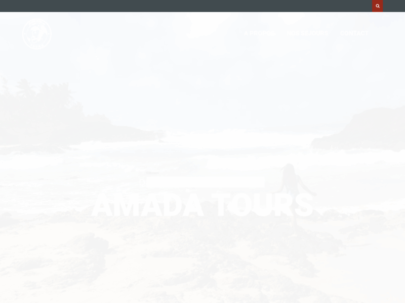 Screenshot du site : AmadaTours