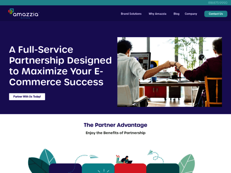 Site screenshot : Amazzia services