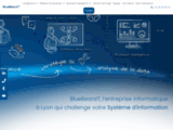 BlueBearsIT - Infogérance | Intégration | AMOA projet ERP/CRM