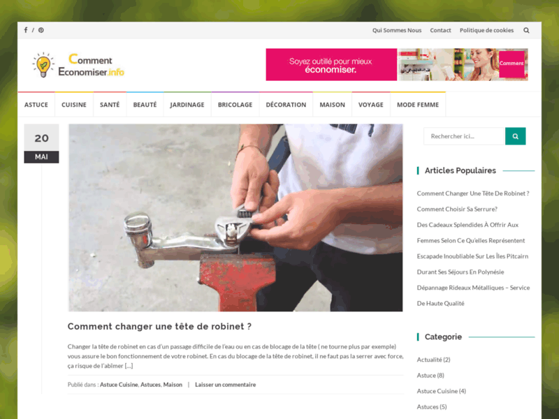 Screenshot du site : Comment économiser: santé, bricolage, beauté