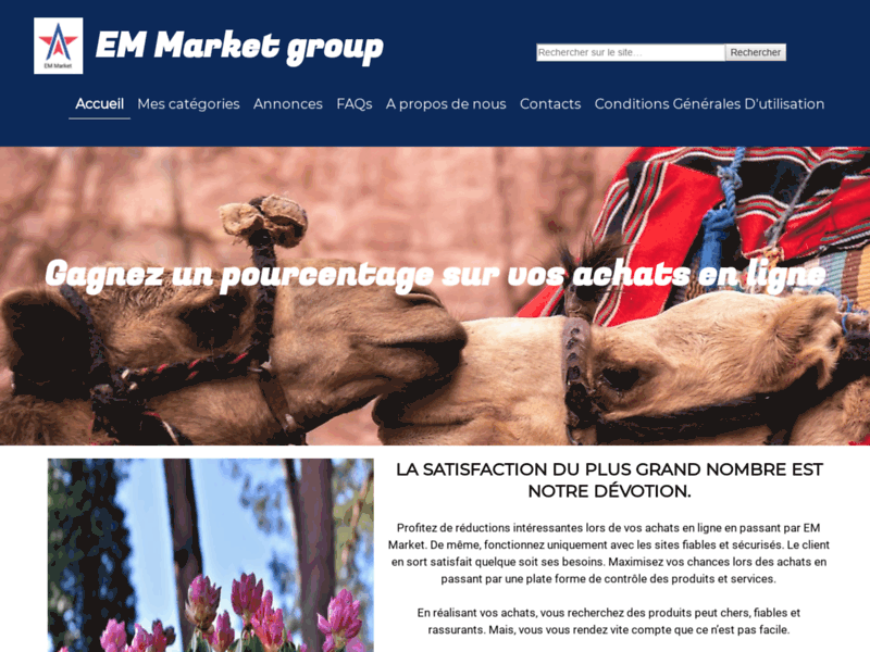 Screenshot du site : EM Market Group
