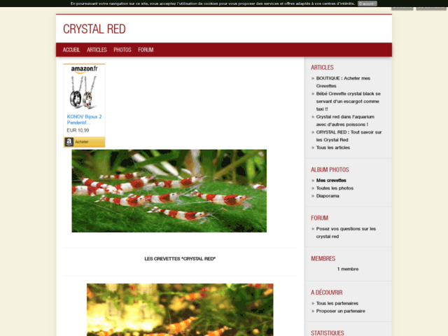 CRYSTAL RED