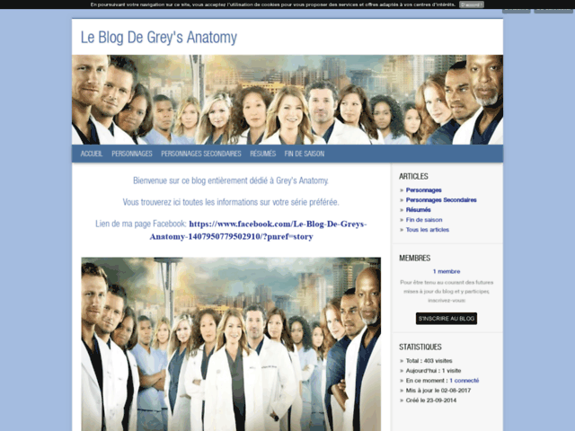 Le Blog De Grey's Anatomy