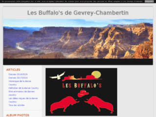 Les Buffalo's de Gevrey-Chambertin